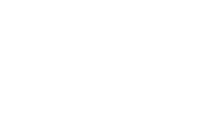 ТорТранс